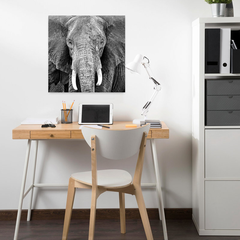 Éléphant, art contemporain de la faune, H 18 po x l 18 po