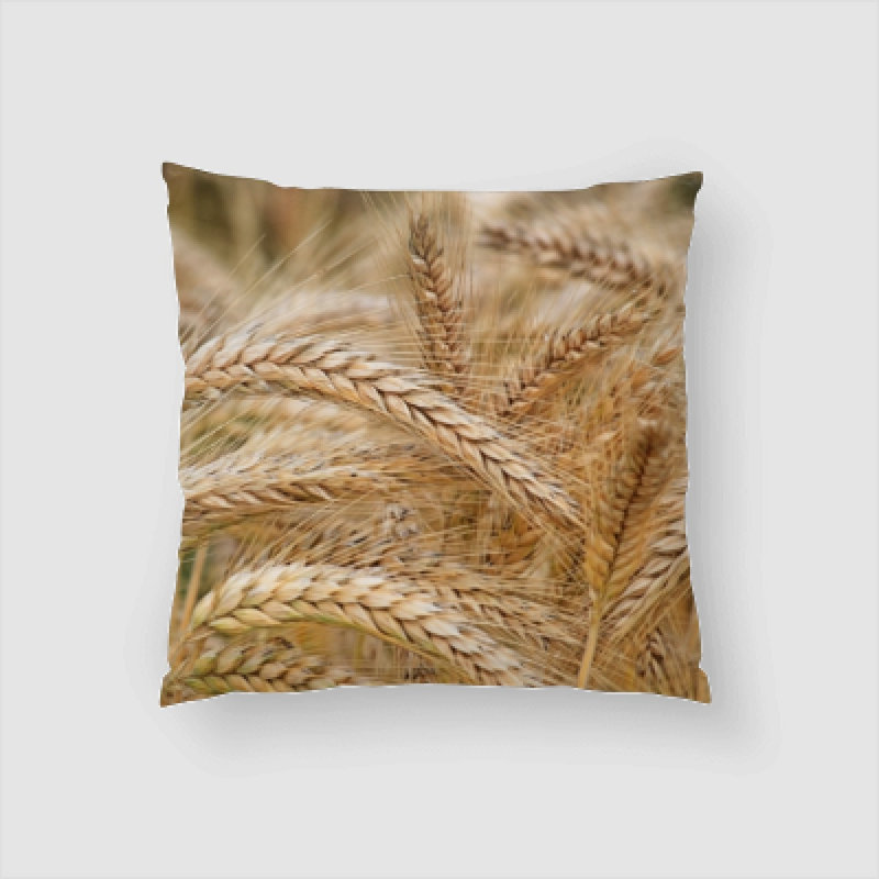 Housse de coussin Remus