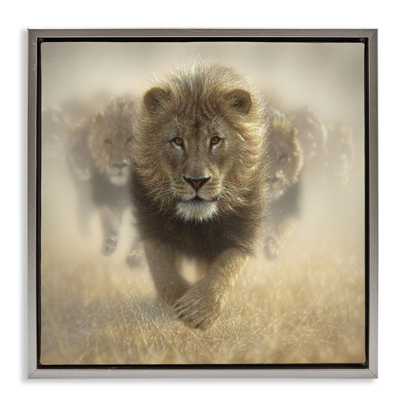 Cadre flottant Eat My Dust Lions, design par Collin Bogle, Cadre flottant gris lustré, H 18 po x l 18 po