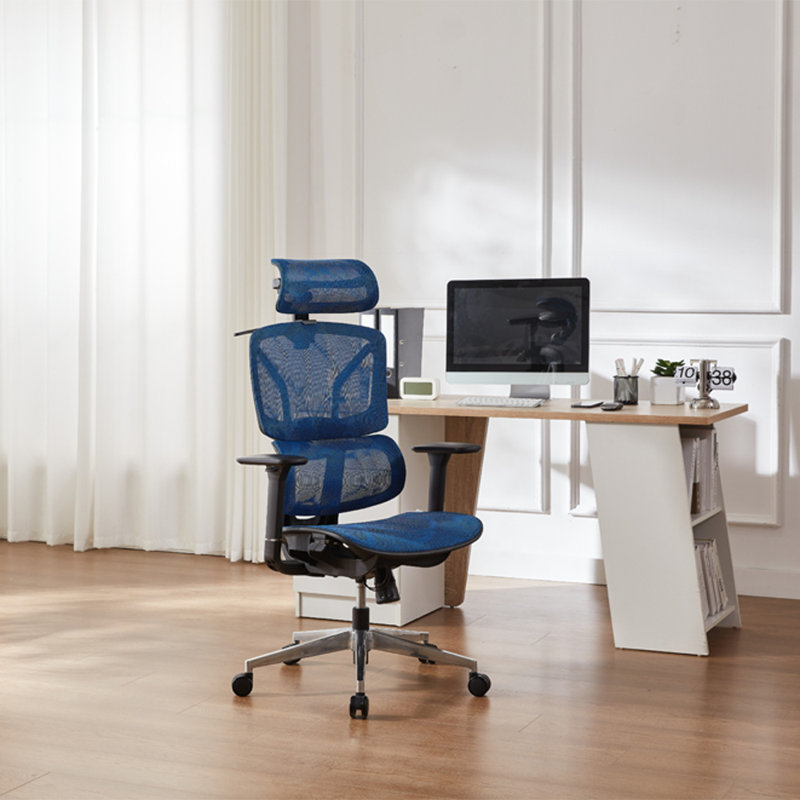 Demani Office Chair with Headrest