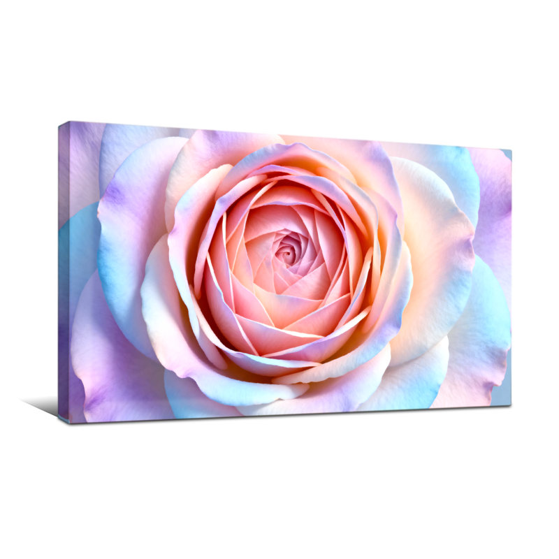 Plantes et fleurs, motif floral rose pastel, H 20 po x l 40 po