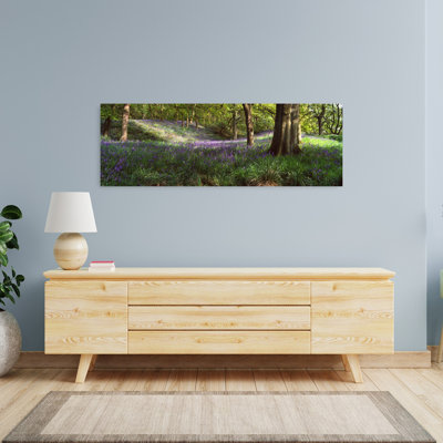 Bluebells In A Forest Newton Wood Texas USA 1 Piece Wrapped Canvas Panoramic Wall Art