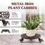 Support pour plante Amalia
