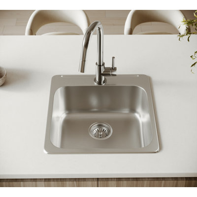 Cantrio KSS-2020 20-Inch Stainless Steel Drop-In Single Bowl Kitchen Sink 