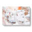 White Swans - Wrapped Canvas-61880999