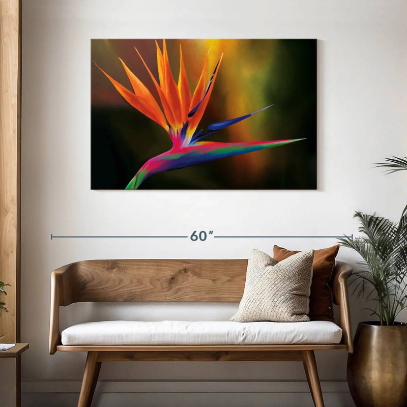 Strelitzia Harnek Delightful, H 30 po x l 45 po