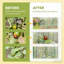 Protecteurs de plantes, cage de jardin