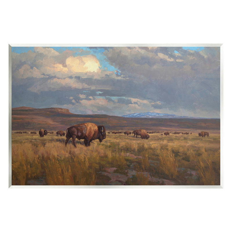 Az-385 - Paysage nuageux Buffalo, H 10 po x l 15 po x P 0,5 po