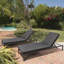 Chaise de jardin gris foncé - fabrication en aluminium, coussins rembourrés de mousse pour la détente de la chaise longue moderne inclinable
