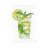 Mint Julip by Stellar Design Studio - Wrapped Canvas Gallery-Wrapped Canvas Giclée-1003224875