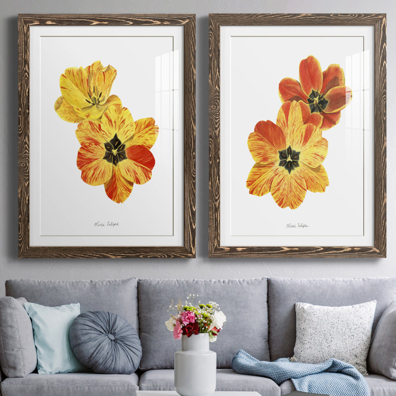 Olive's Tulips I Premium encadré mat - prêt à être accroché, H 37,5 po x l 55 po x P 1,5 po, Encadré de bois de noyer