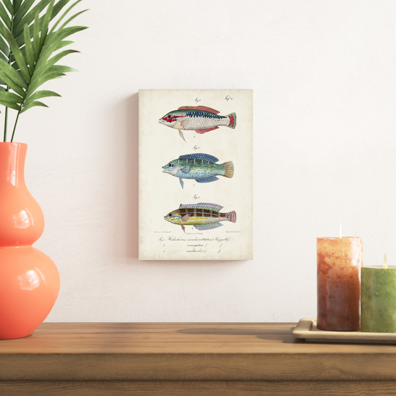 " Antique Fish Trio II ", 12" H x 8" W x 1.25" D