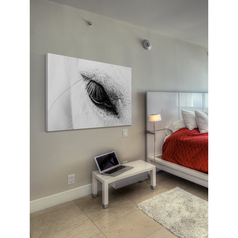 « trusting eye », reproduction d’art sur toile tendue, H 12 po x l 18 po x P 1,5 po