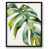 Black Framed selected