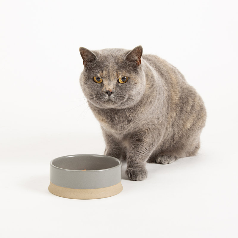 Scruffs Scandi Collection 28.156ml Pet Bowl