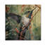 Karamjit gracieux colibri IV sur bois-163932185