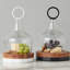 Glass Cloche Food Cover, Ring Handle, Small-1242998155