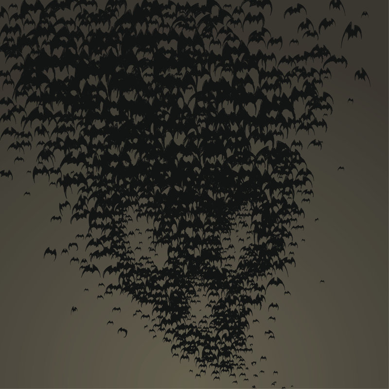 Bat Skull by Dirtydog_Creative - No Frame Print on Canvas, 91cm H x 91cm W