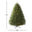 Arbre de Noël Albric North Valley-2128109873