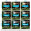 Luxrite 18W/27W/36W LED Corn Light Bulb, 150W HID Equivalent, 3 Colour Selectable, Up To 5450 Lumens, E26/E27 Base 4-Pack