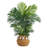 Areca Palm Artificial Tree in Planter with Tassels