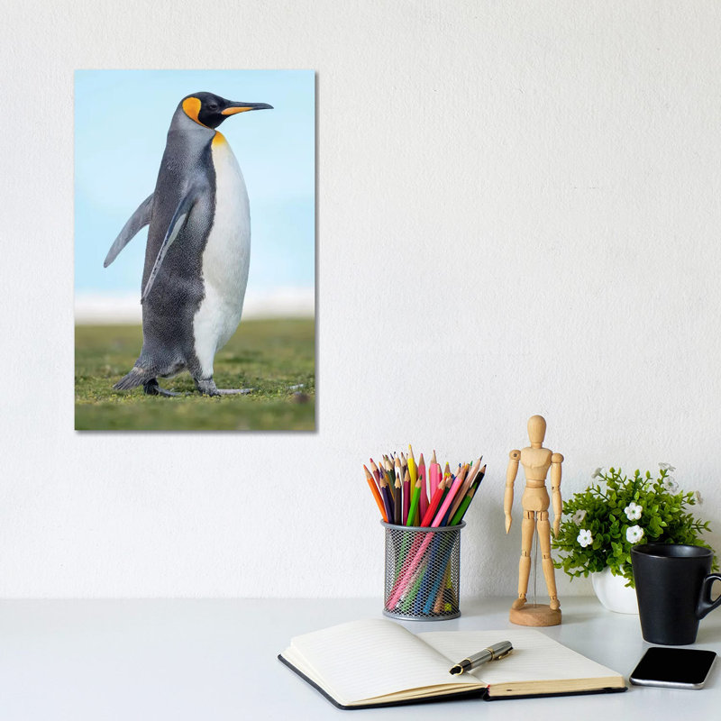 King Penguin On Falkland Islands. by Martin Zwick - Wrapped Canvas Print, 20.32 cm H x 30.48 cm W