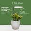 Potence légère AeroGarden - blanc crème-119070179