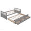 Lit de jour avec couchette et tiroirs, taille simple, gris-411854827