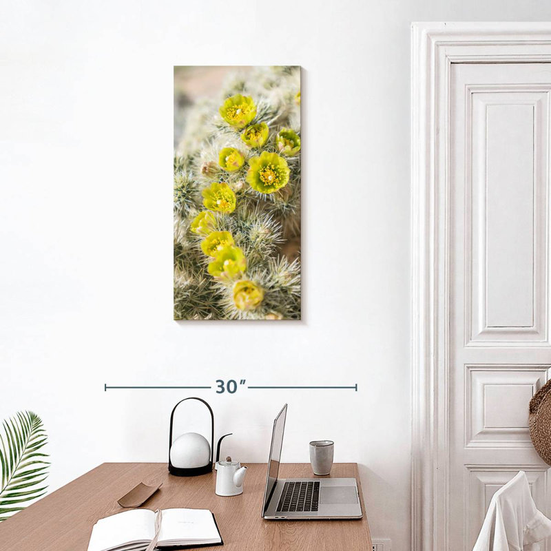 Cactus argenté Cholla, H 30 po x l 15 po