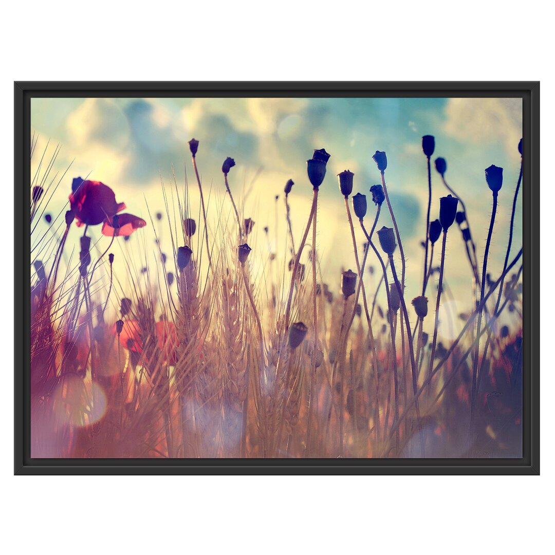 Gerahmtes Poster Poppy Wheat Field