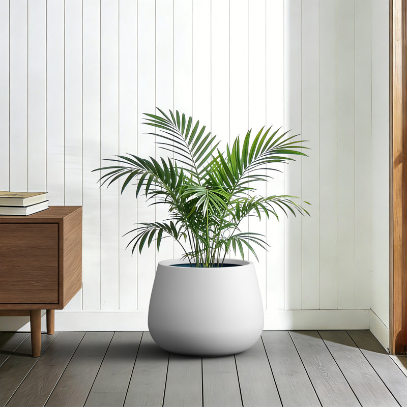 Grande jardinière / pot rond en béton blanc 14,4 po avec trous de drainage pour l'intérieur et l'extérieur, Blanc perle