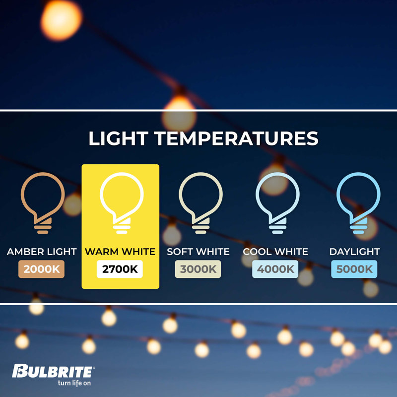 Outdoor 10 - Bulb 168'' Plug-in String Light