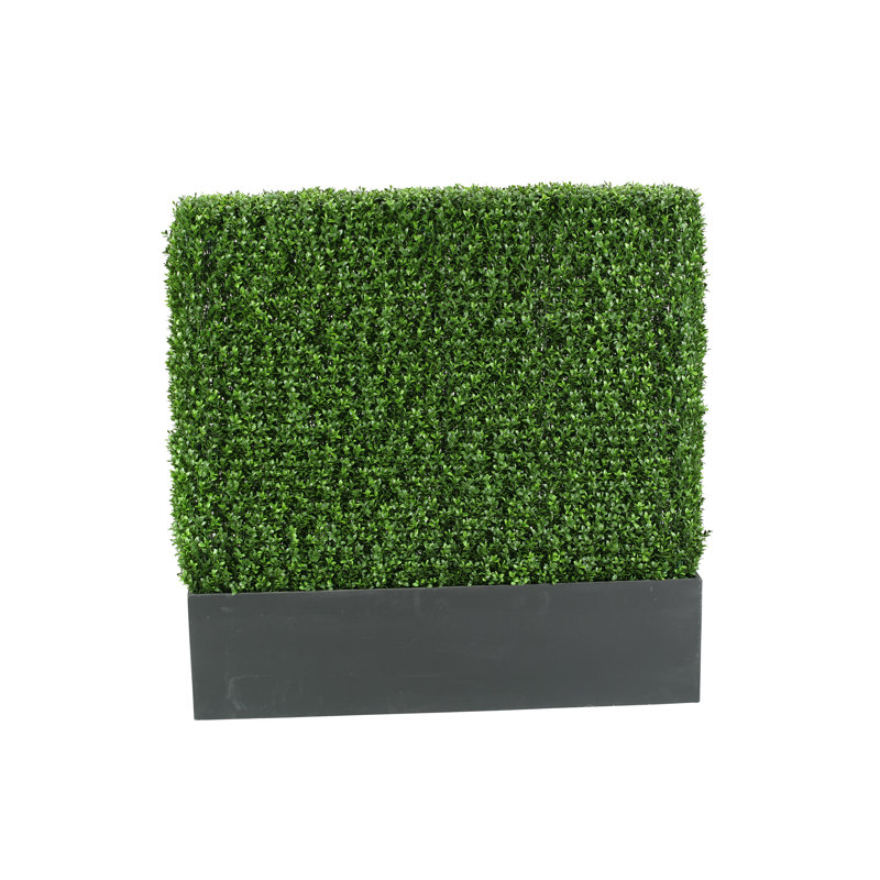 Jardinière d'intérieur / extérieur en buis rectangulaire, H 48 po x l 48 po x P 8 po