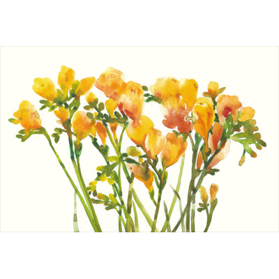 " Freesia II " by Timothy O' Toole