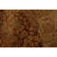 Hand Knotted Wool Area Rug in Brown And Gold