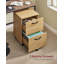 Franny 42cm Wide 2 -Drawer Mobile File Cabinet-1500718812