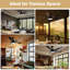 Ceiling Fan with LED Lights-350266710
