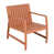 Apricot Brown
