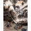 Tapis floral gris / bleu sarcelle / orange Arends-678299746