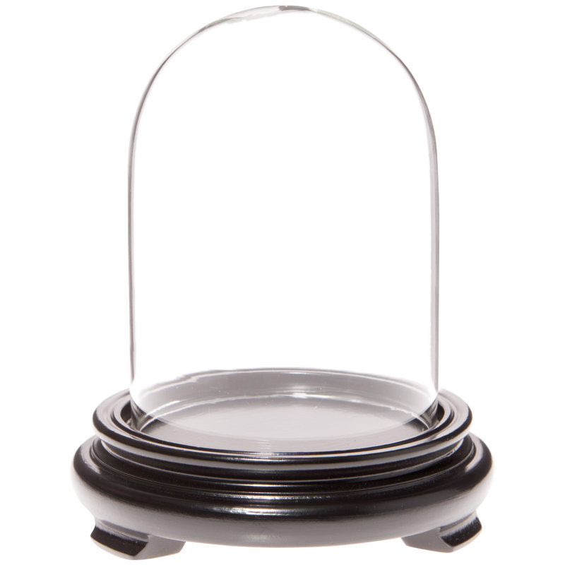 Cloche en verre Kelig 3 "x 4", Base en placage de bois noir