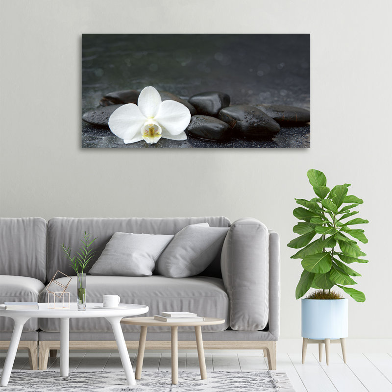 Orchid - Wrapped Canvas Print, Canvas, 50cm H x 100cm W