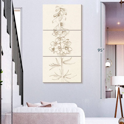 Delphinium I