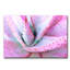 Pink Aloe Print-1560902572-1560902227