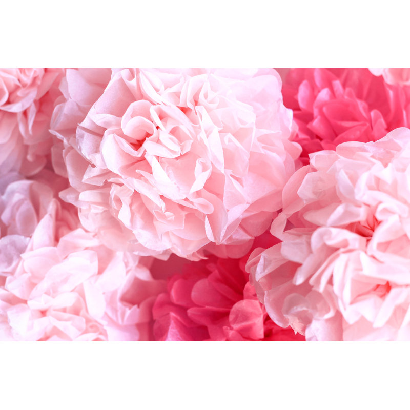 Pom Poms Background by Gokcemim - Wrapped Canvas Print, 61cm H x 91cm W