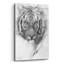 "Portrait d'un tigre" par Robert Campbell-623781934