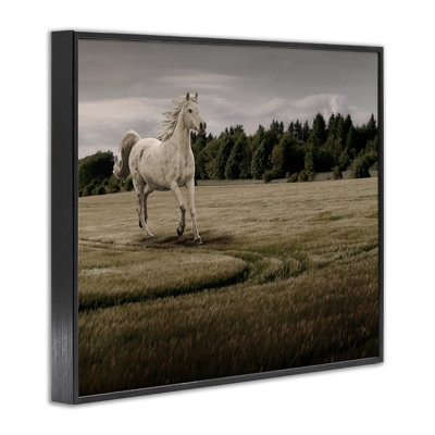 Stupell Industries Galloping Through Field Horse Framed Giclee, Design By Marcus Prime In Midnight Black Framed Giclee