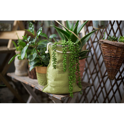 Skiles Ceramic Pot Planter