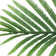 Palm Tree in Planter