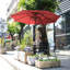 274.32cm Tilt Market Parasol-2023157577