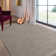 Aerilyn Light Grey Hand Woven Area Rug